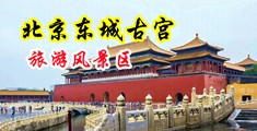 美女插插插视频网站中国北京-东城古宫旅游风景区